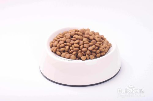 成猫吃幼猫粮有什么坏处