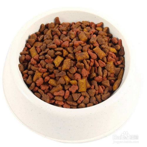 成猫吃幼猫粮有什么坏处