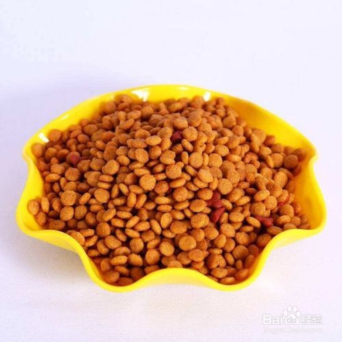 成猫吃幼猫粮有什么坏处