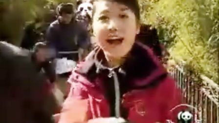 熊猫 卧龙 第三部分