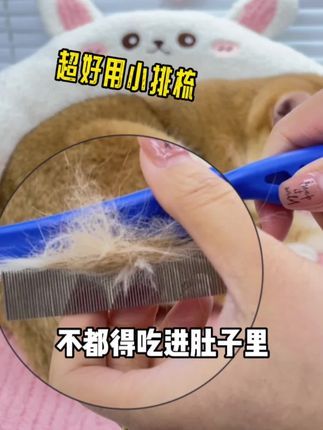 麦豆萌宠：养宠家庭一定要买这个小排梳，密集的齿梳啥都能梳出来#宠物梳子 #养猫用品推荐 #浮毛梳 #梳毛神器