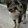 活泼弟弟找爸妈