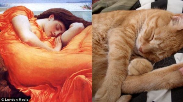 猫咪名画模仿秀