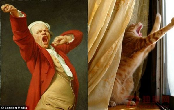 猫咪名画模仿秀