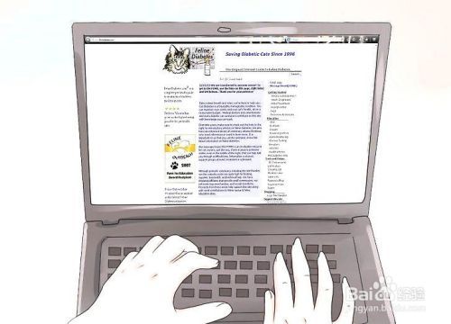 如何照顾患糖尿病的猫