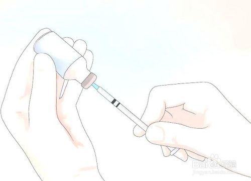 如何照顾患糖尿病的猫