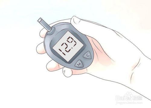 如何照顾患糖尿病的猫