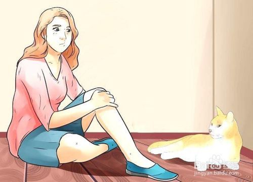 如何照顾患糖尿病的猫
