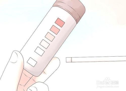 如何照顾患糖尿病的猫