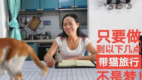 铲屎官分享带猫旅行中的注意事项，做到以下几点，就能愉快地玩耍