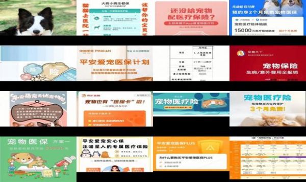 宠物医疗保险