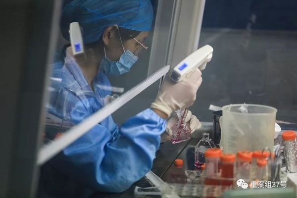 ▲9月9日,生物实验室,工作人员在进行细胞培养。新京报记者 浦峰 摄