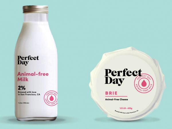 Perfect Day合成牛奶