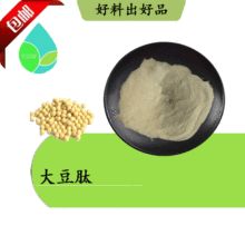 大豆肽99% 大豆蛋白 小分子肽 500D 云奇生物现货 量大从优