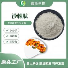 沙棘肽98% 新疆沙棘 蛋白小分子低聚肽食品级保健原料粉 厂家现货