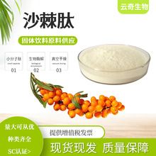 沙棘肽99% 蛋白小分子肽 500D 云奇生物 现货 量大从优