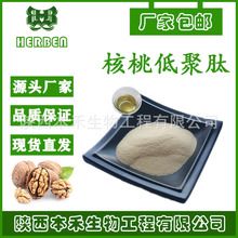 核桃低聚肽粉98% 核桃肽粉 核桃蛋白肽 食品级 水溶 分子量&lt;500Da