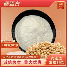 现货硒蛋白2000ppm富硒蛋白粉食品原料植物硒蛋白批发水溶硒蛋白