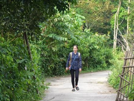 田边有几个棵高大果树，爬梯子摘了一筐，去赶集下起了暴雨 #我的乡野山居生活 #山居生活 #我的农场生活