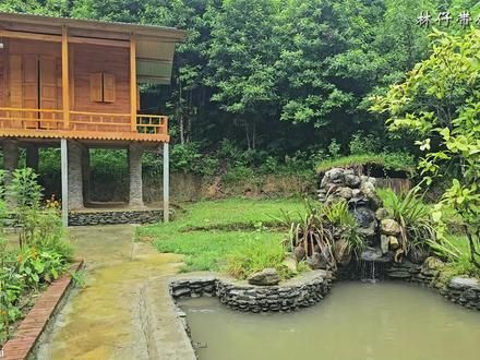 清理锦鲤池中的淤泥，采摘香甜可口的本地西瓜到镇上的市场出售 #我的乡野山居生活