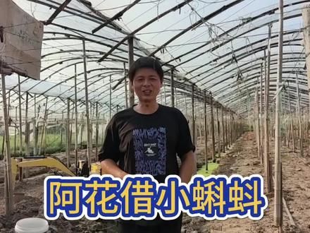 #台州方言民间小故事 #农民不易 阿花借小蝌科