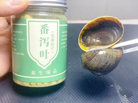 福寿螺VS泻药，会发生什么逝呢？#头条双星激励计划 #福寿螺 #泻药 #番泻叶 #趣味实验