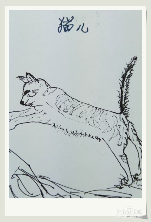 怎样画简笔画“跳跃的猫”？