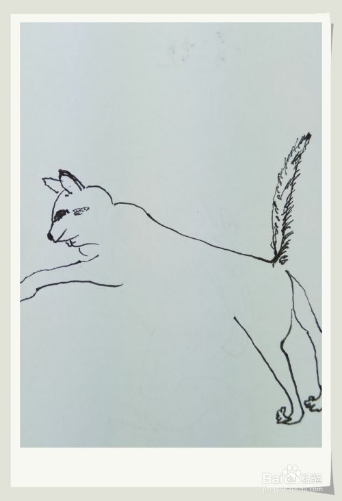 怎样画简笔画“跳跃的猫”？