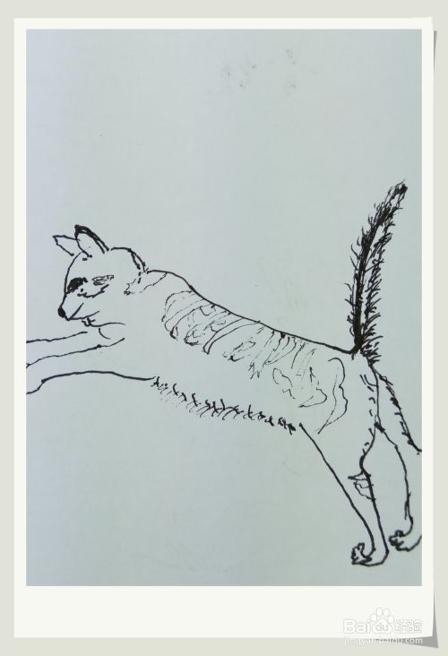 怎样画简笔画“跳跃的猫”？