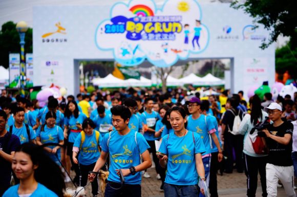 武汉海昌极地杯2018DOGRUN乐跑武汉站温情落幕！