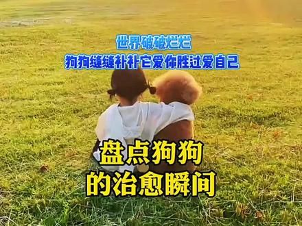 #dou上热门 世界破破烂烂,小狗缝缝补补,这个世界不能没有小狗,盘点狗狗的治愈瞬间 #狗狗 #治愈系 #它好像知道自己很可爱