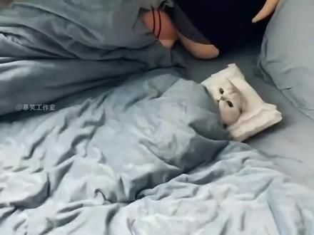 #猫猫卖艺 猫礼猫气的,满意不?