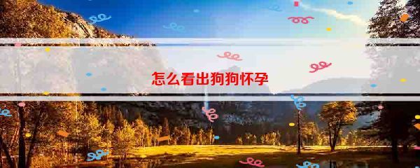 怎么看出狗狗怀孕