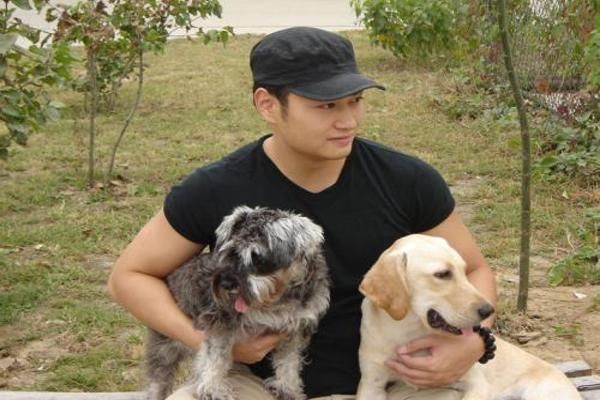 拉布拉多犬掉毛怎么办？为什么拉布拉多会掉毛