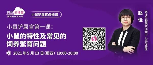 小鼠行为异常