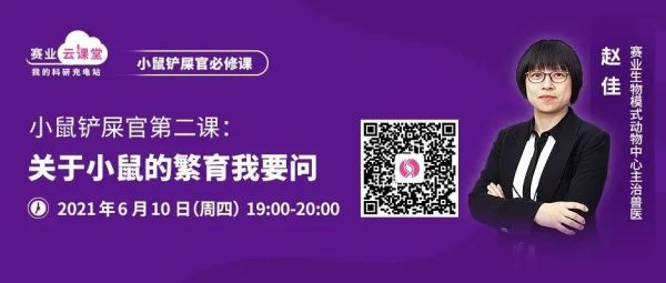 小鼠行为异常