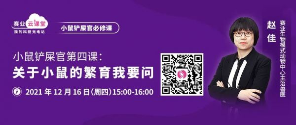 小鼠行为异常
