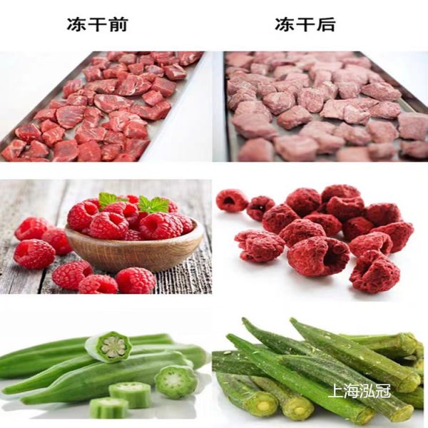 宠物粮水果蔬菜虫草茶叶智能真空冷冻干燥机