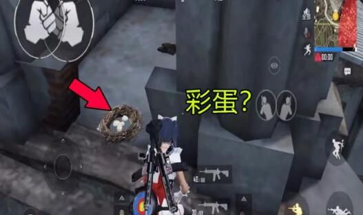 《和平精英》鸟巢在哪