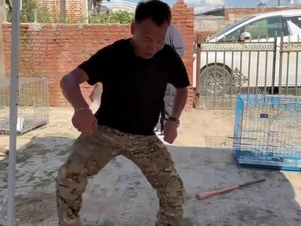 潘宏园区愈发邪门 #潘宏爱玩狗