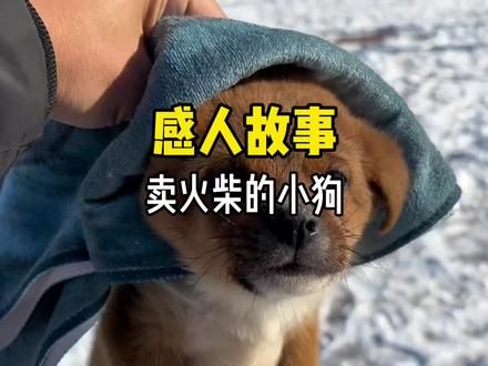 “你在我的生命中出现了一段时间，我会永远记得你的” #狗狗 #破防 #感人故事