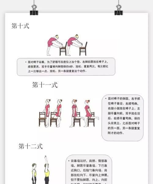 如何训练金毛的服从性（以宠物为主，打造温顺的金毛犬）