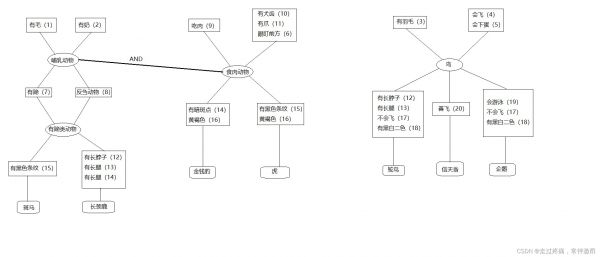 推理过程图