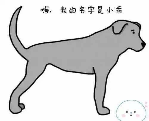 狗狗尾巴的１１种形态和摆法，你知道它们在想什么吗？快来看...