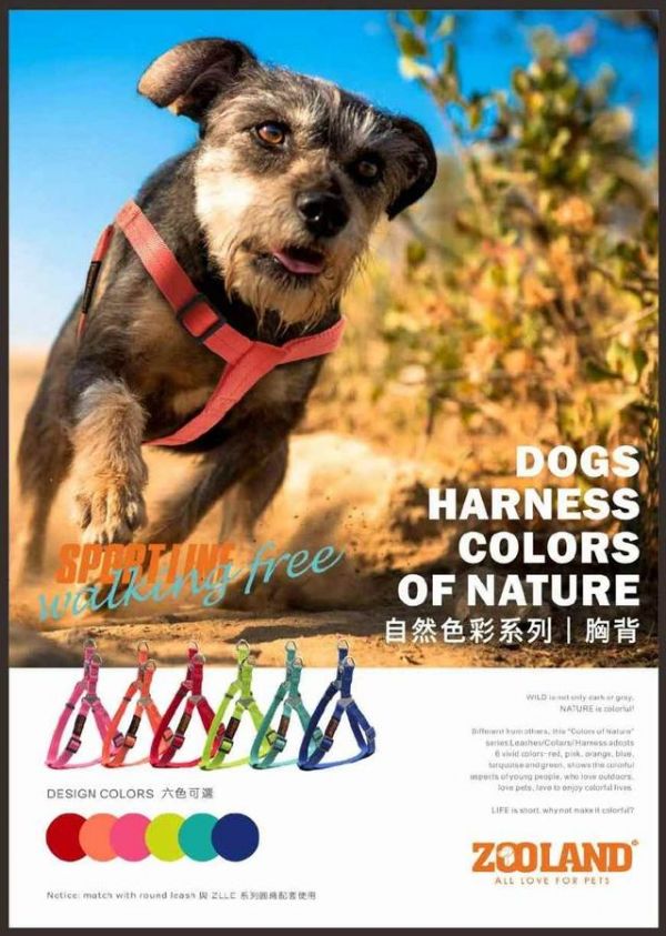 狗狗尾巴的１１种形态和摆法，你知道它们在想什么吗？快来看...