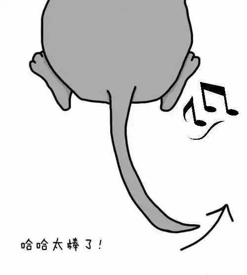 狗狗尾巴的１１种形态和摆法，你知道它们在想什么吗？快来看...
