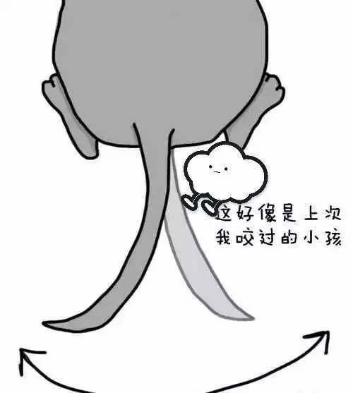 狗狗尾巴的１１种形态和摆法，你知道它们在想什么吗？快来看...