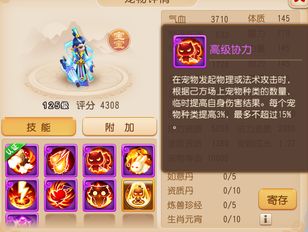 专栏