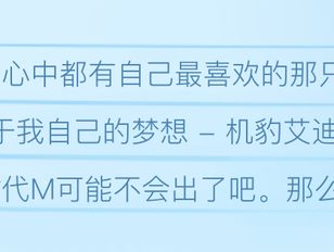 专栏