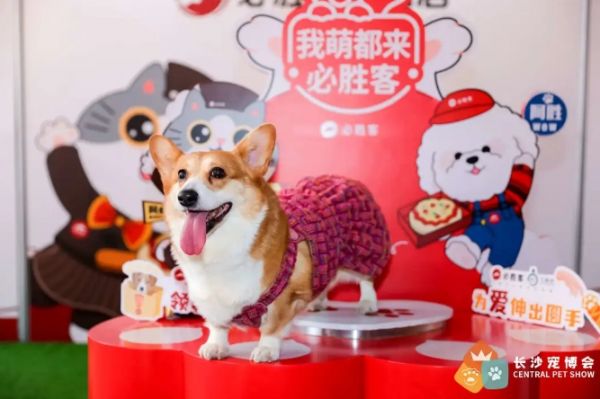 微信截图_20240327143625.png